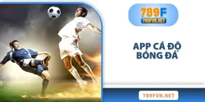 app-ca-do-bong-da