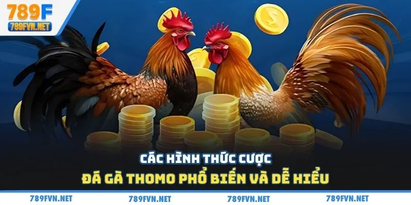 da-ga-thomo-cac-hinh-thuc-cuoc