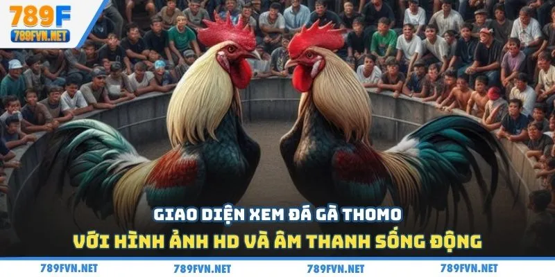 da-ga-thomo-hinh-anh-hd-am-thanh-song-dong