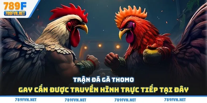 da-ga-thomo-tran-dau-kich-tinh